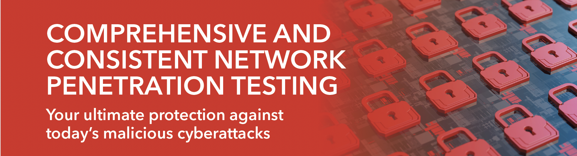 Penetration Testing | Pinnacle Computer Services